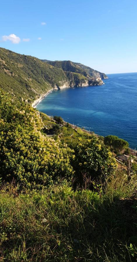 Appartamento Giumin Corniglia Eksteriør bilde